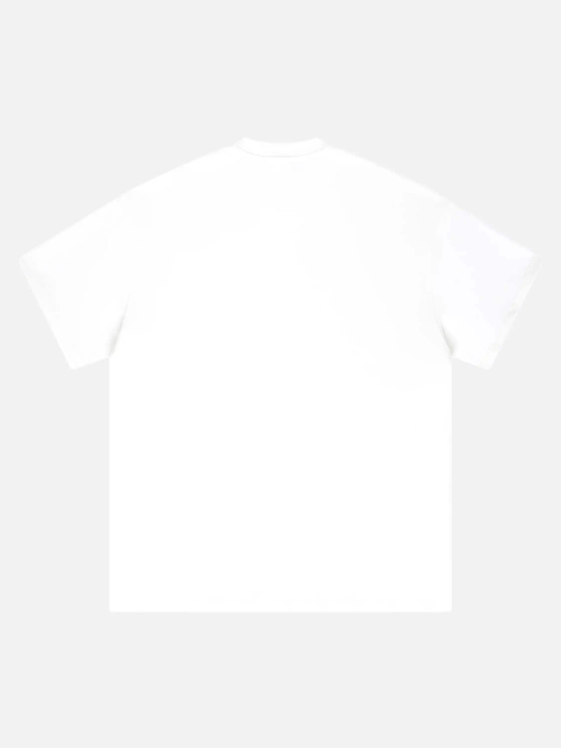 Disguisen Skull Vintage Loose T-Shirt