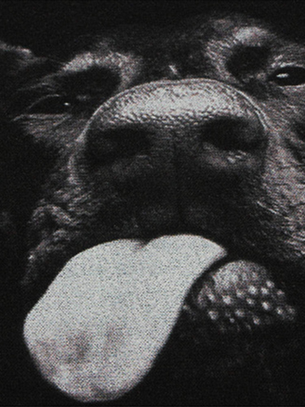 Disguisen Doberman Print Washed Vintage T-shirt