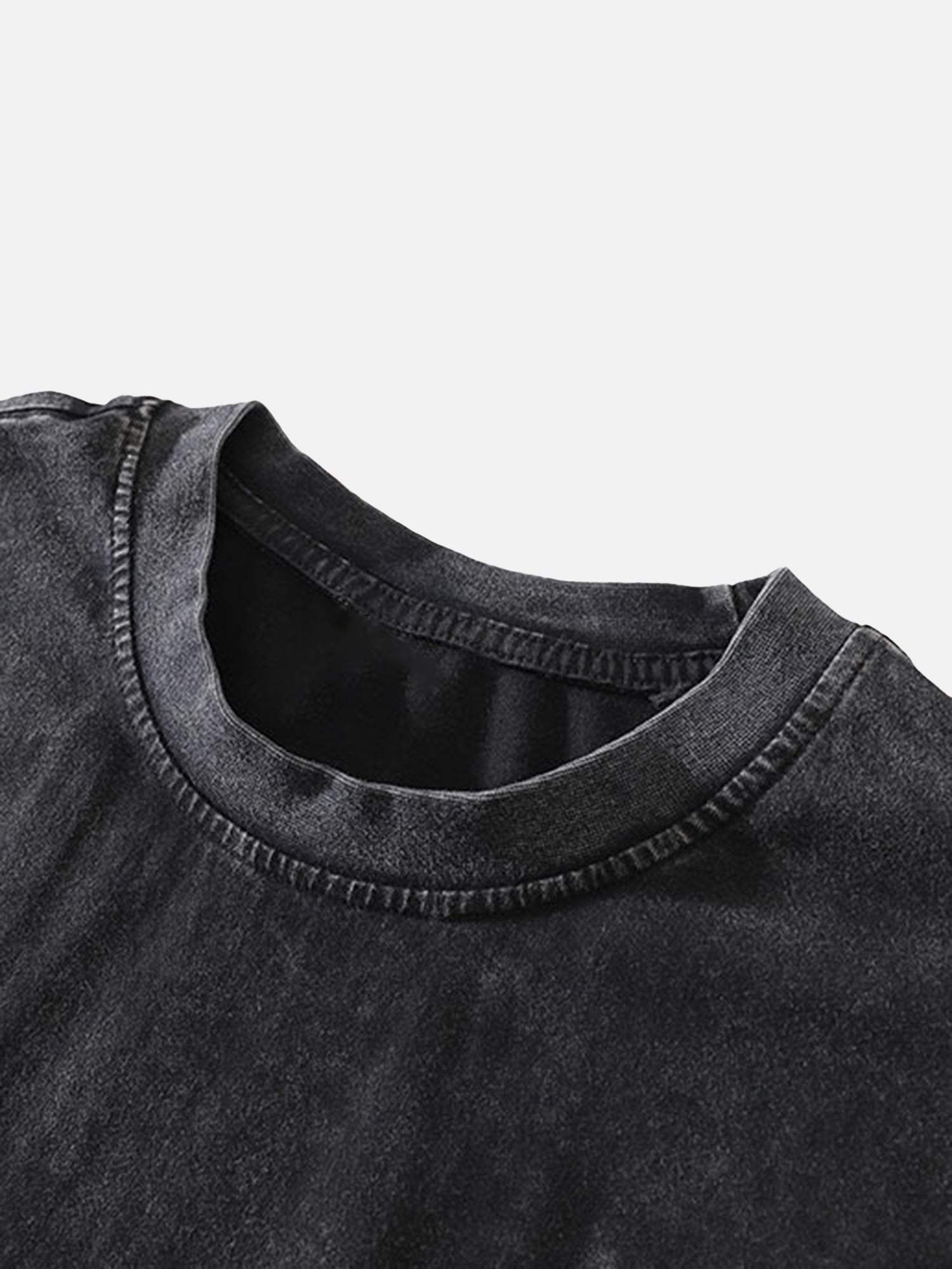 Disguisen American High Street Washed And Distressed Doberman Pinscher T-shirt