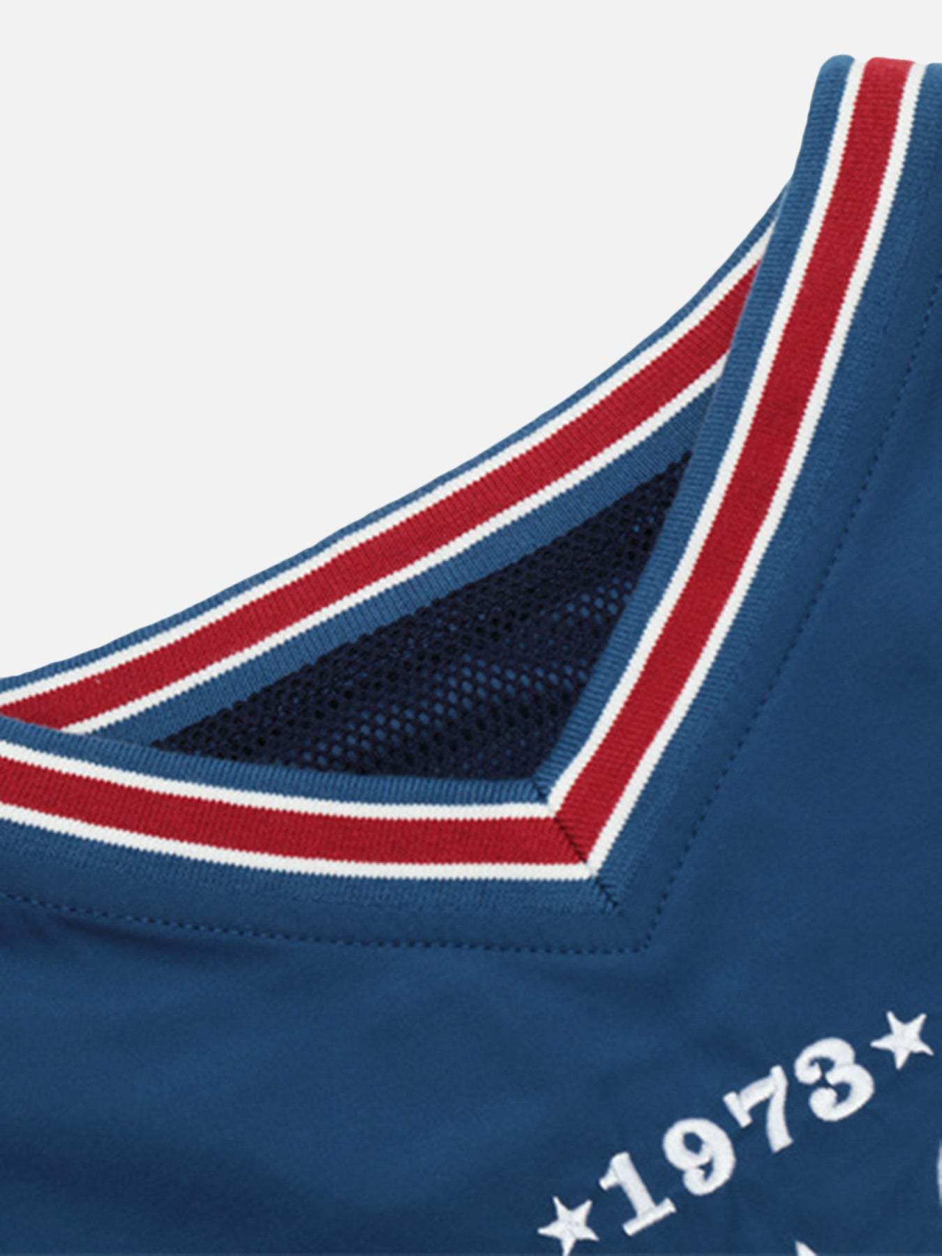 Disguisen American Embroidered Monogrammed V-neck Sweatshirt