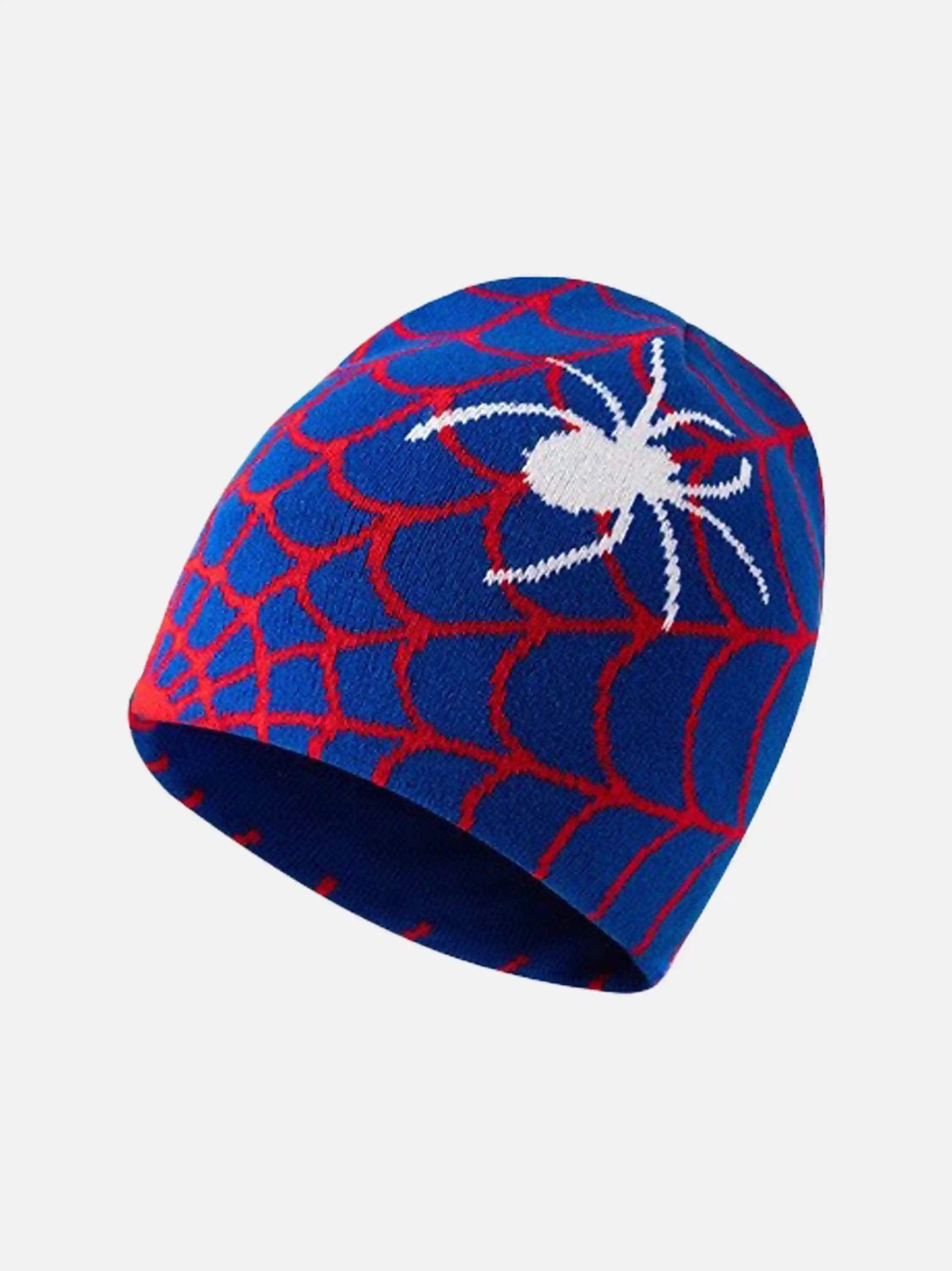 Disguisen American Street Spider Knitted Hat