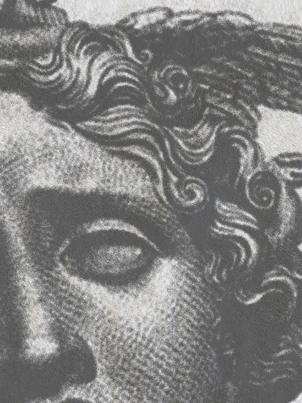 Vintage Statue Plush Coat