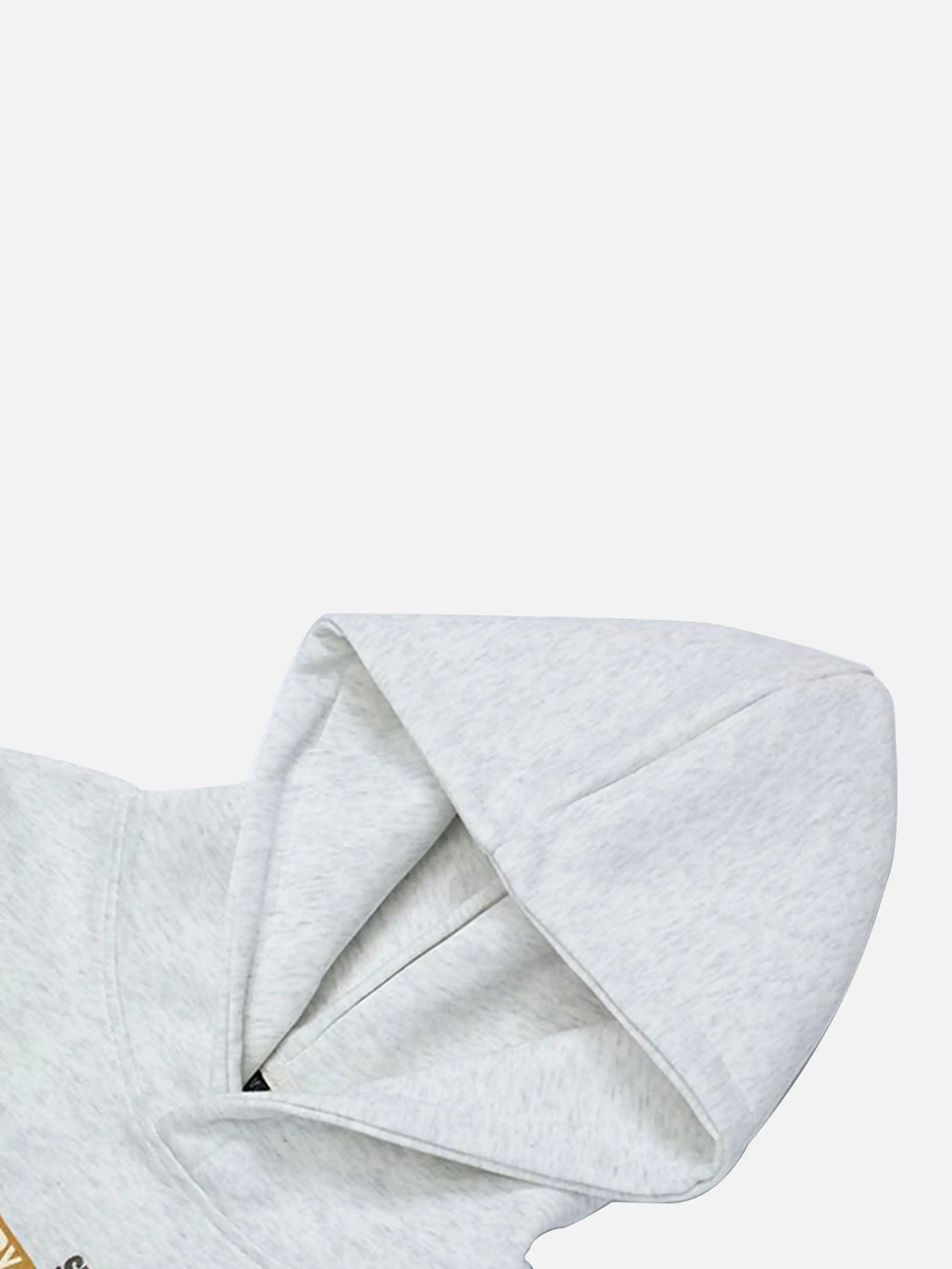 Disguisen Vintage Era Electronics Hoodie