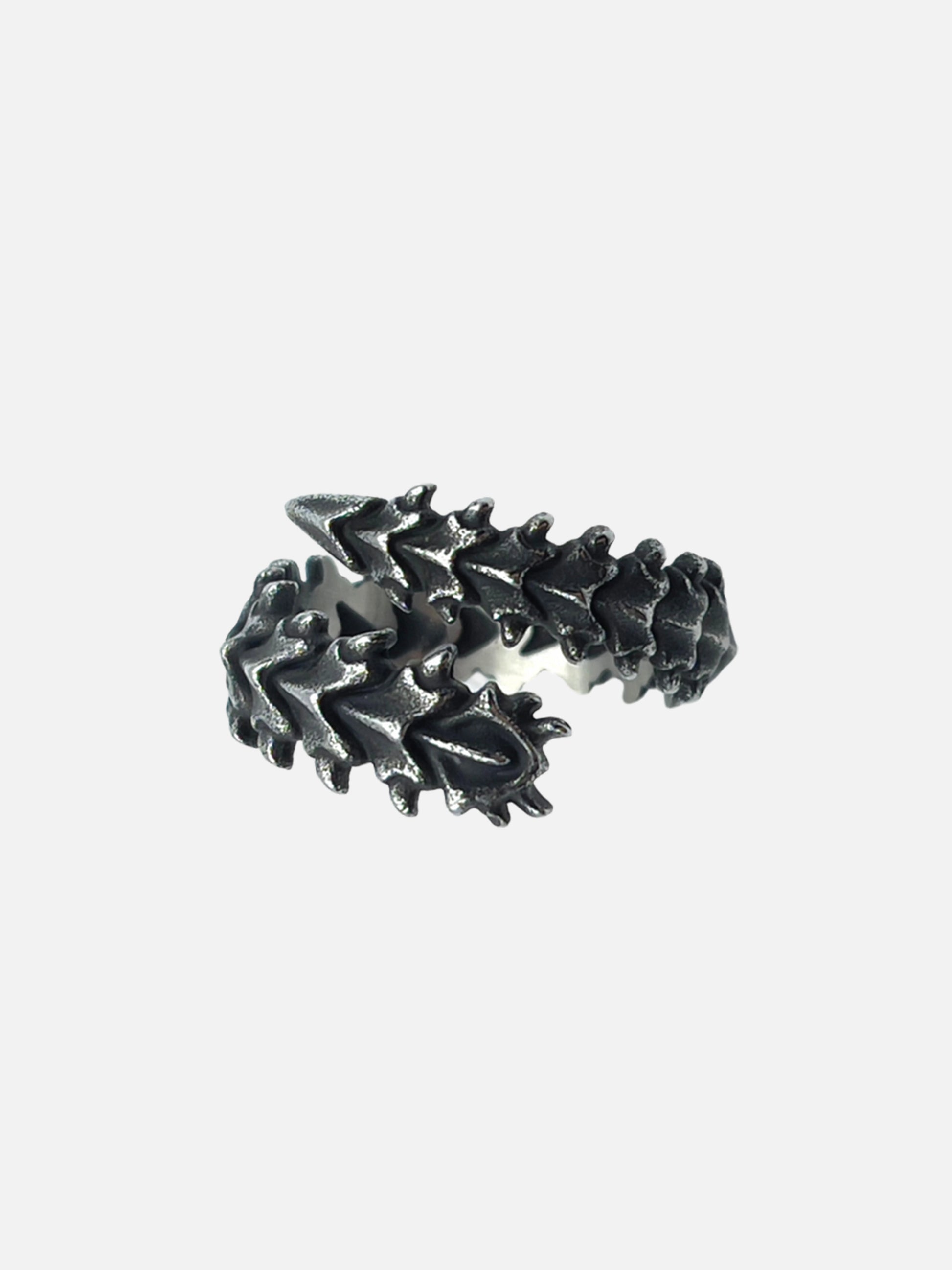 Geometric Spine Ring