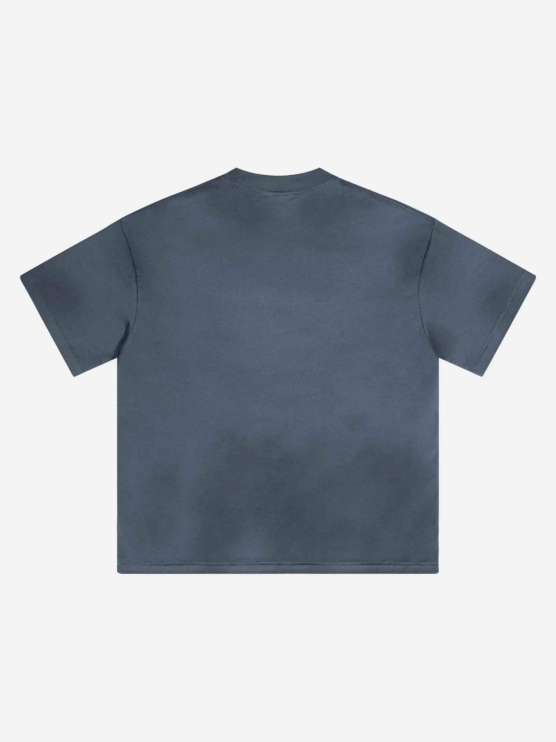 Disguisen Vintage Blokecore T-Shirt