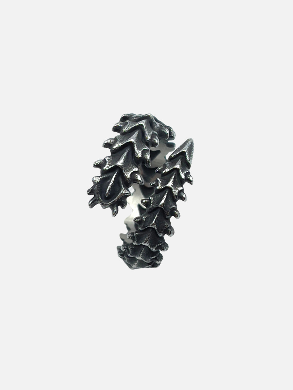 Geometric Spine Ring