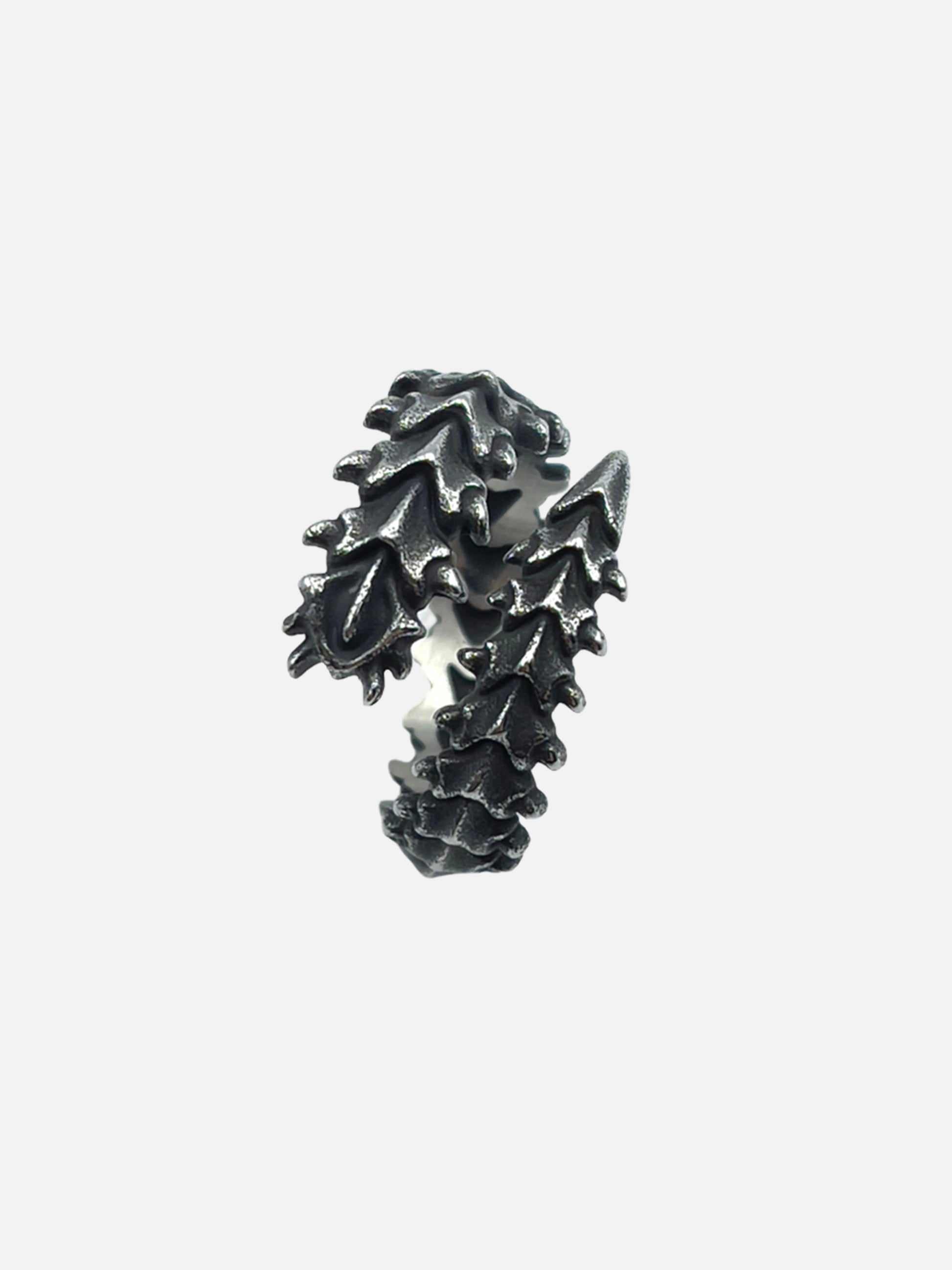 Geometric Spine Ring
