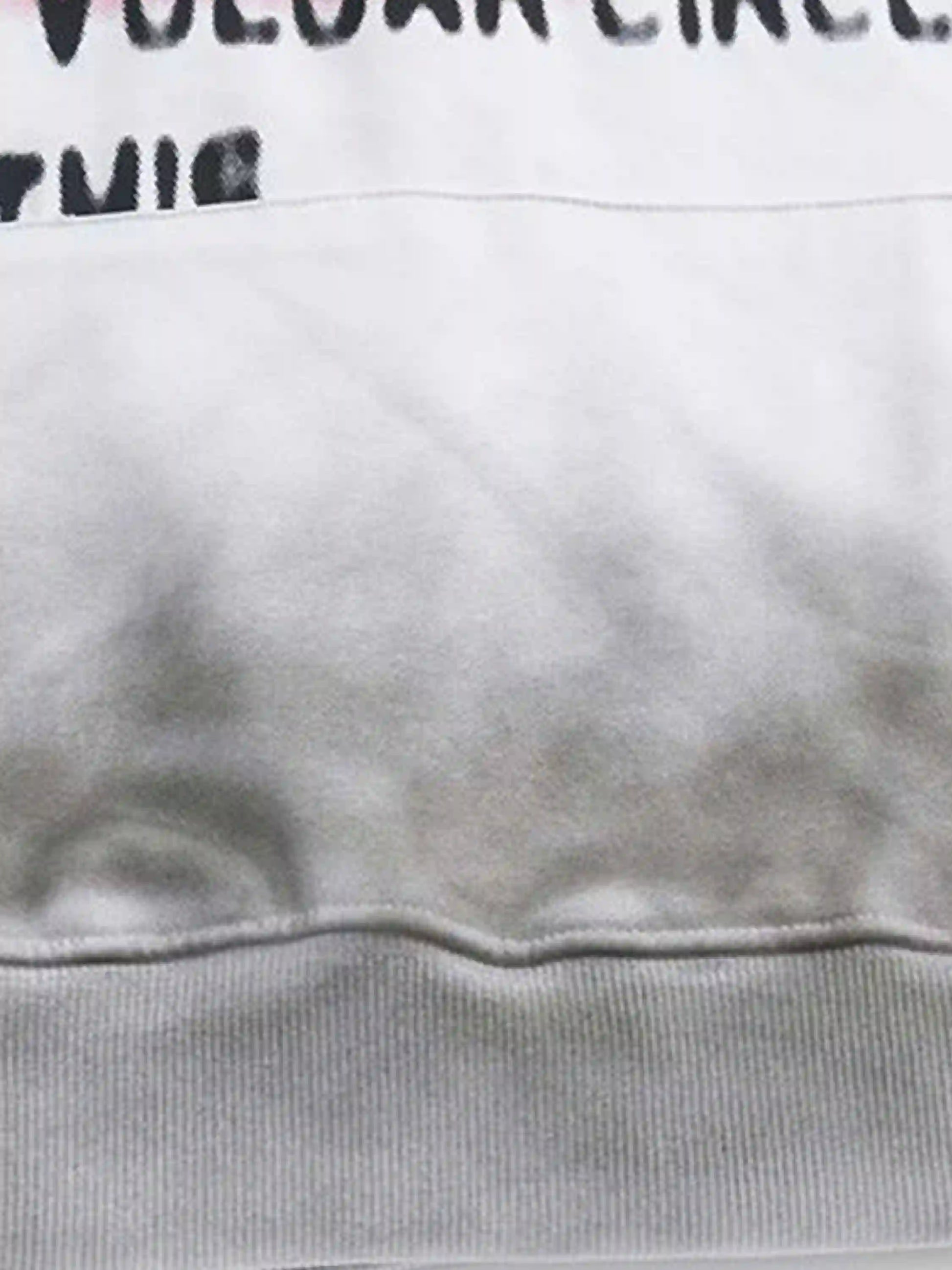 Disguisen Vinatge Distressed Gradient Hoodie