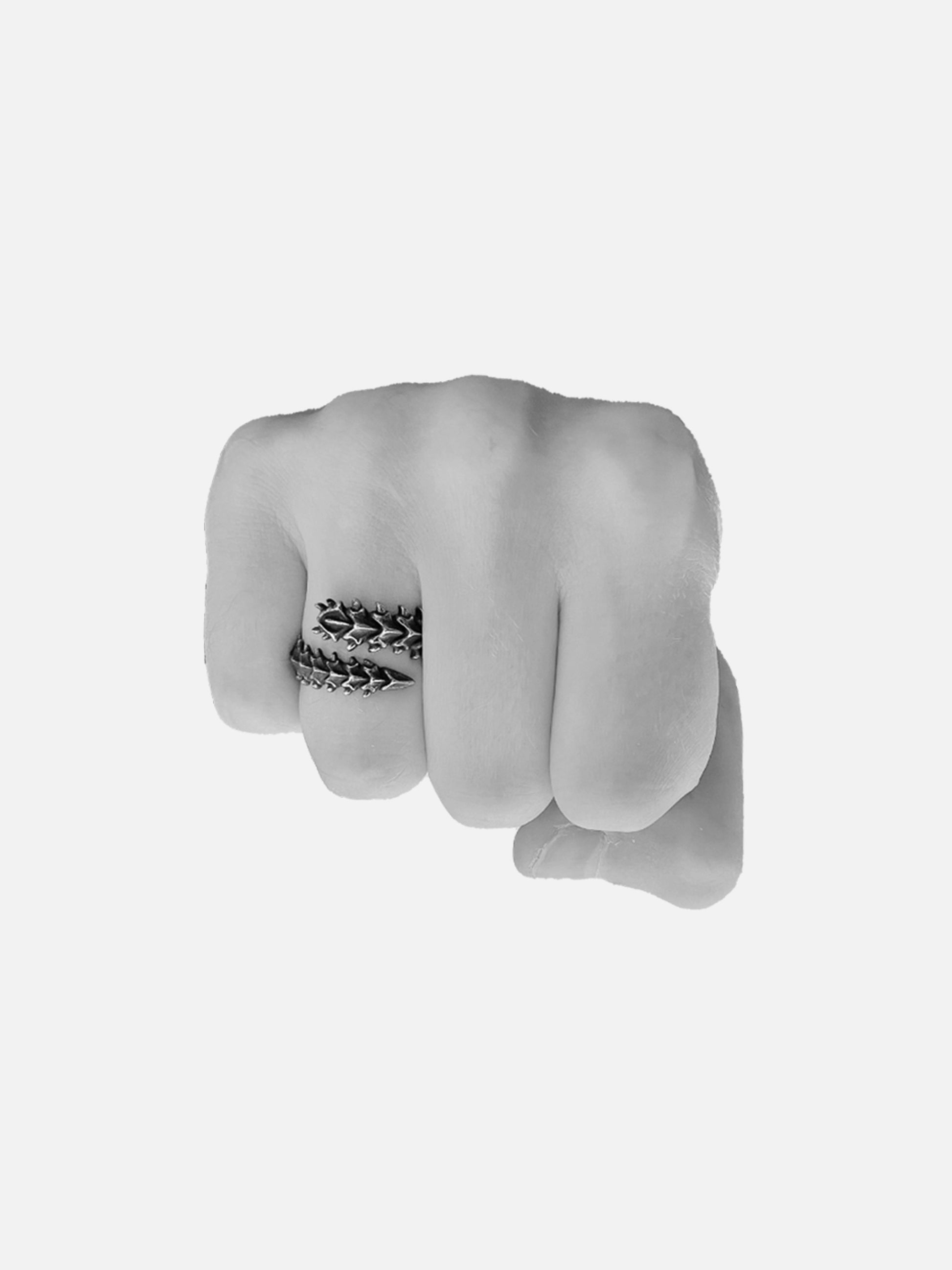 Geometric Spine Ring