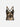 Disguisen Glossy Leopard Print Contrast Vest